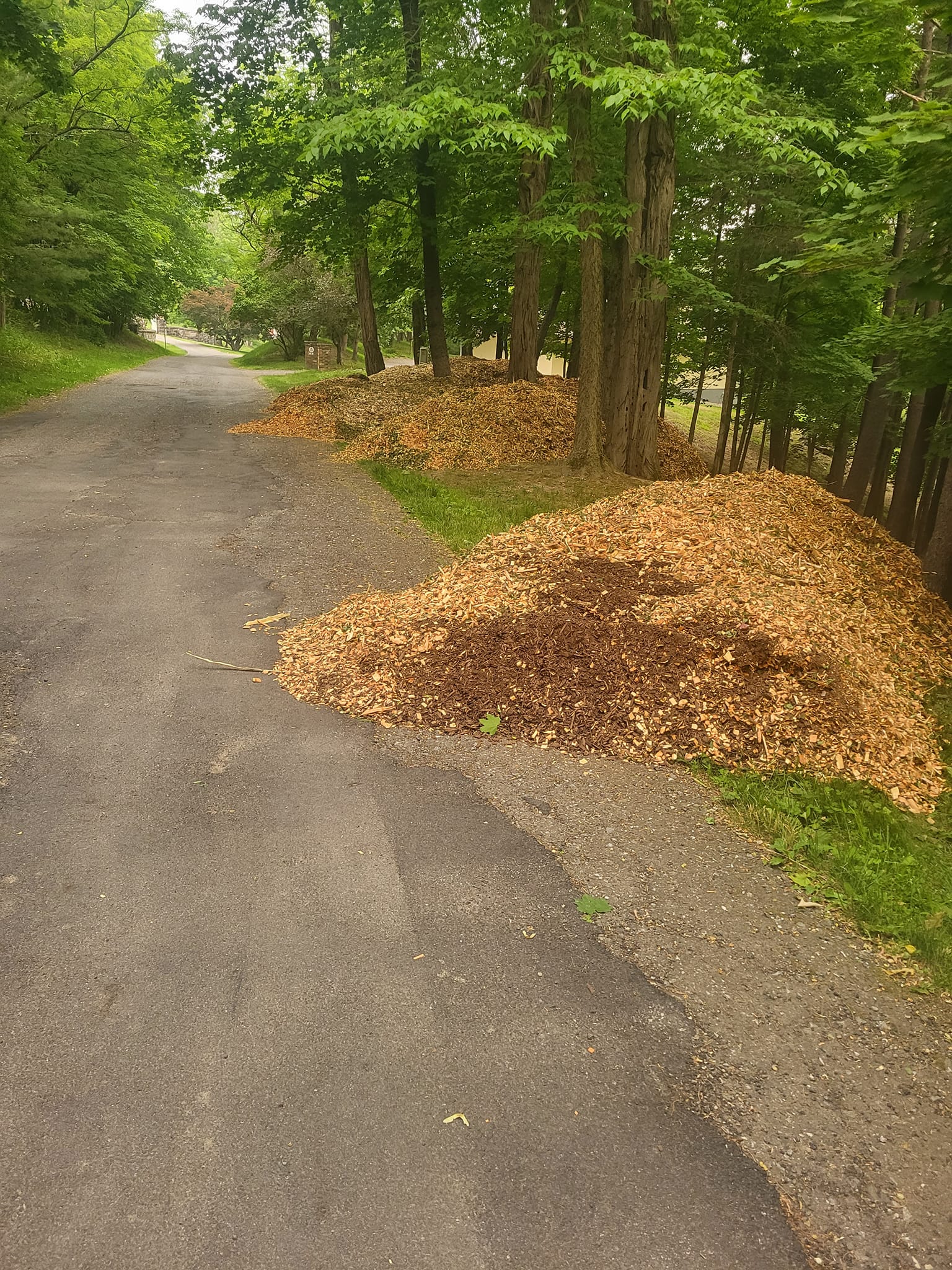 A mound of wood chips lies adjacent to the road, featuring a blend of textures and shades typical of processed wood material.