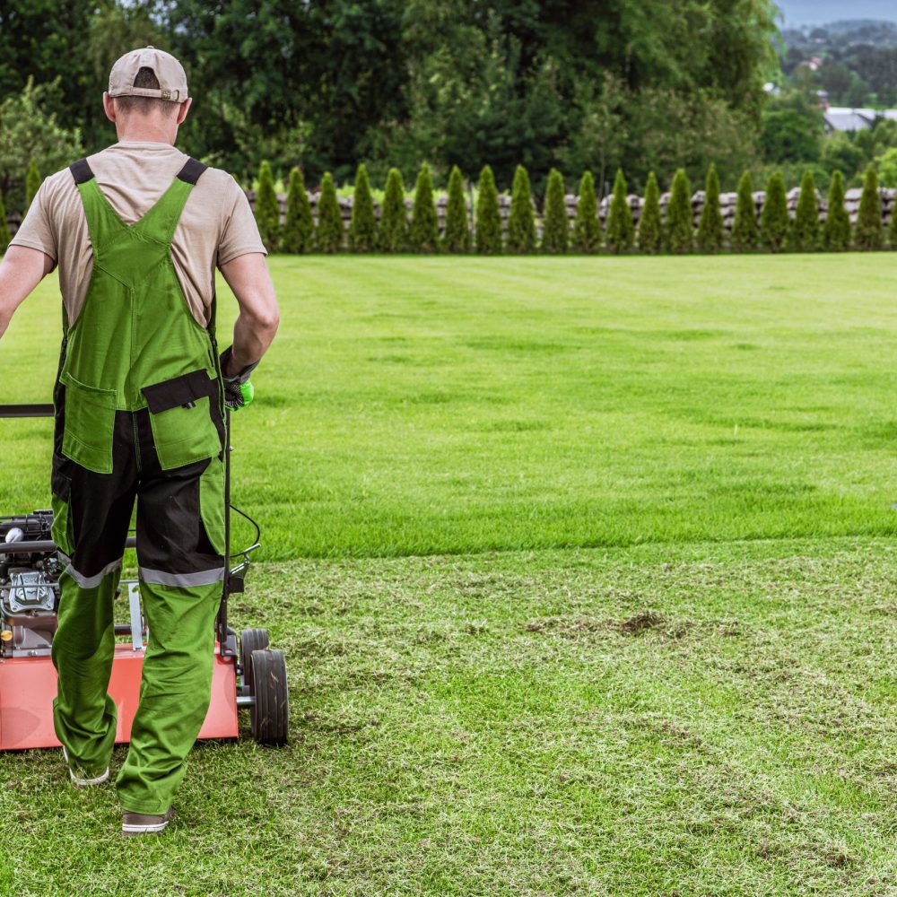 gardener mowing the yard gardener mowing the yard