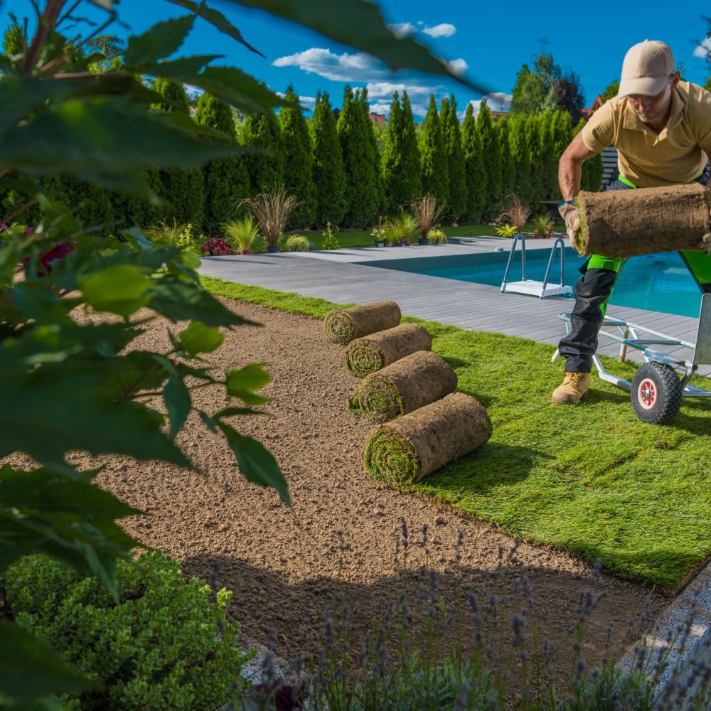 Landscaping Worker Installing Fresh Lawn Made From Natural Grass Landscaping Worker Installing Fresh Lawn Made From Natural Grass